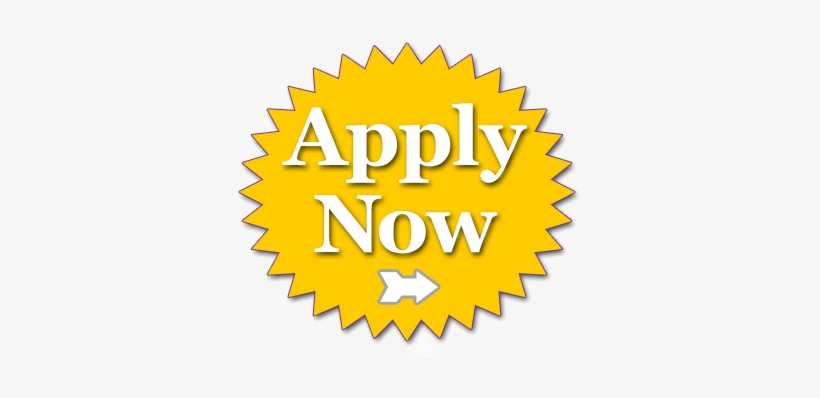 Interested In Adopting This Horse At The Live Auction - Puch Rear Sprocket, transparent png download