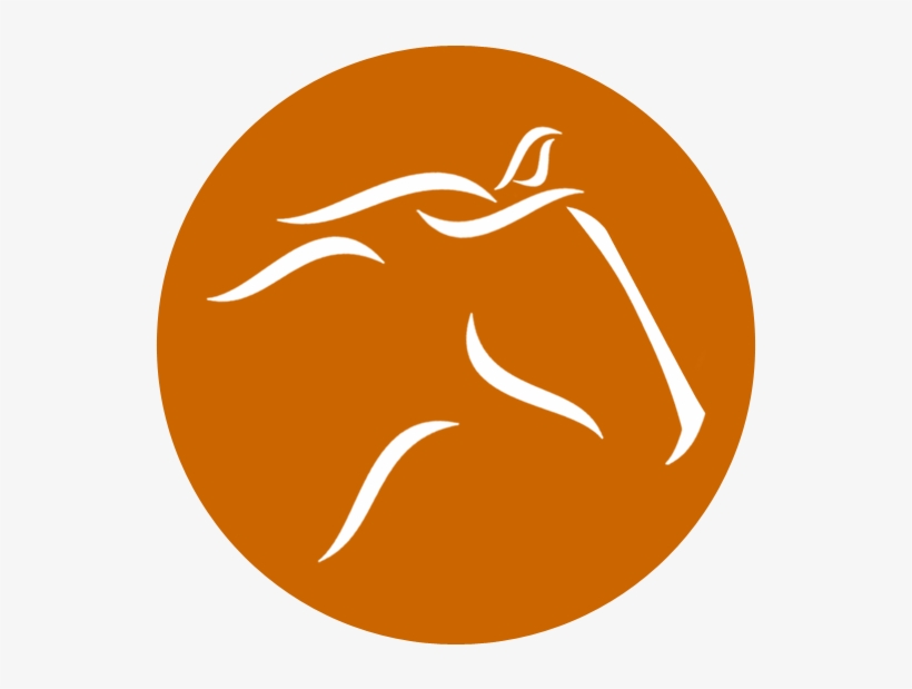Horse, transparent png download
