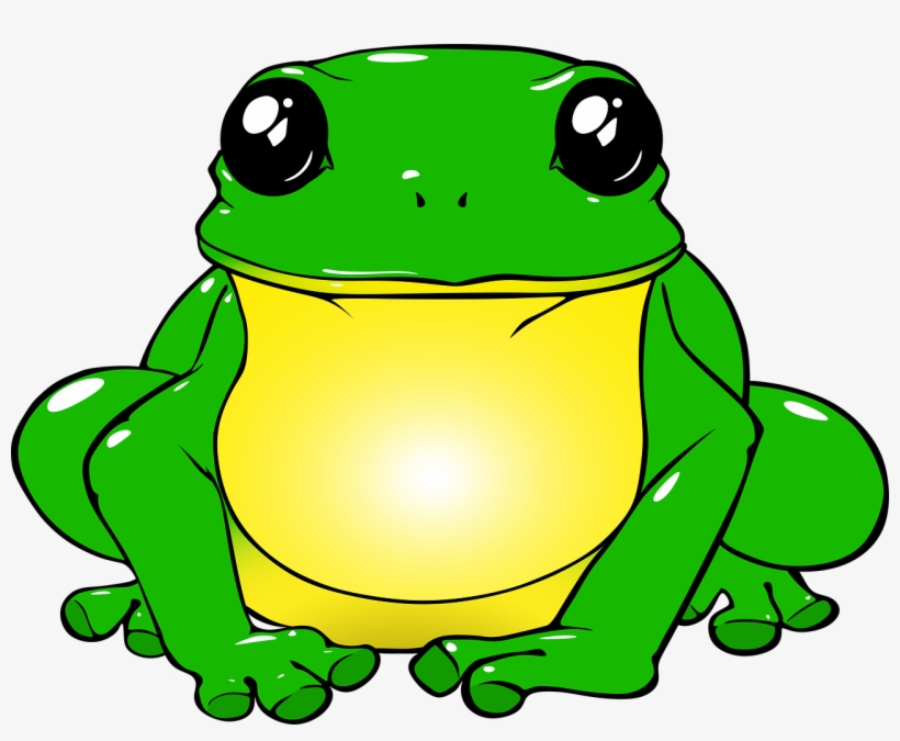 Sapo Dibujo, transparent png download