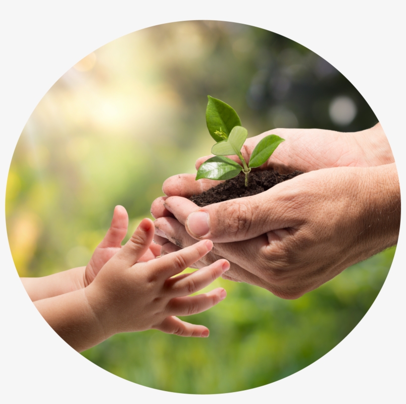 Emotional Health And Wellbeing Circle - Future In Your Hand, transparent png download