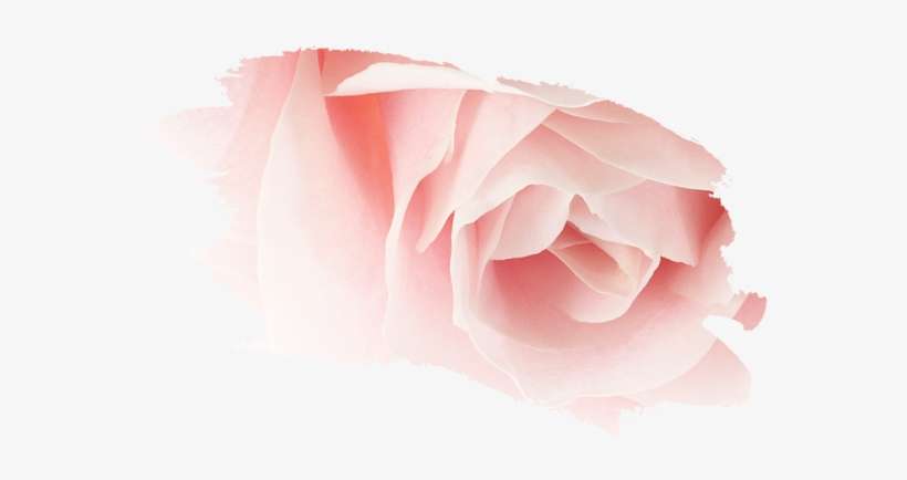 Pack Your Sun Cream - Nuxe, transparent png download