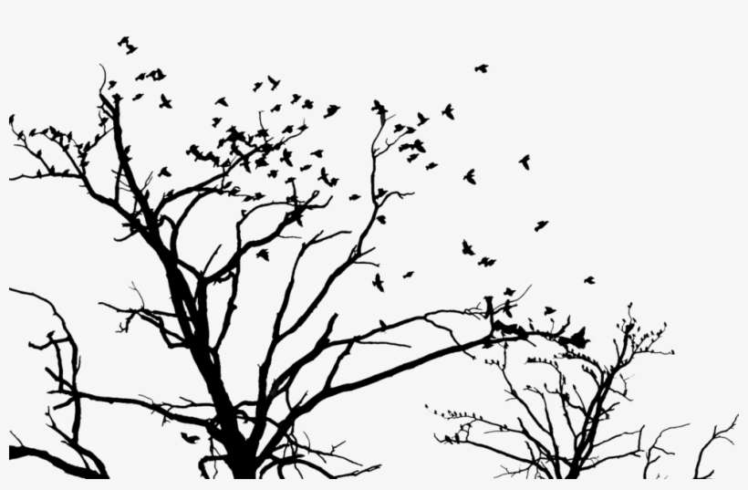 Share This Image - Twig, transparent png download