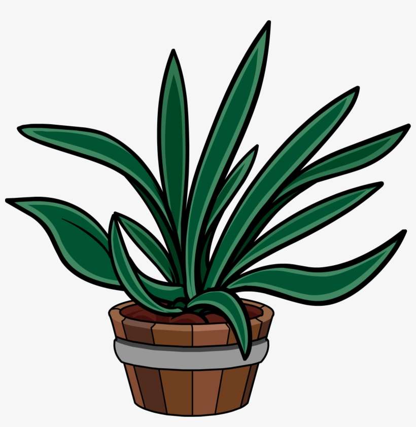 Spikey Plant - Portable Network Graphics, transparent png download