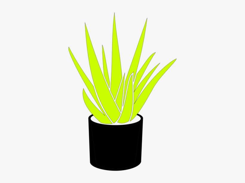 Find Your Plant - Flowerpot, transparent png download