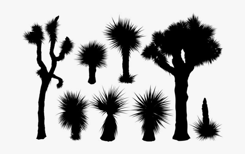 Yucca Silhouettes Vector - Joshua Tree Vector Free, transparent png download