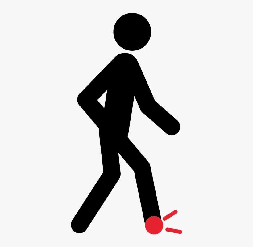 External Antenna Is Now Available For Physilog4 Gold, - Walking, transparent png download