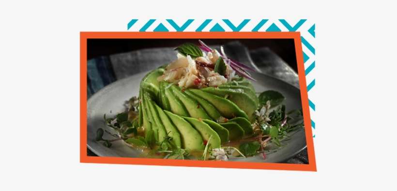 Avo University Classes Can Be Used As Continuing Education - Dish, transparent png download