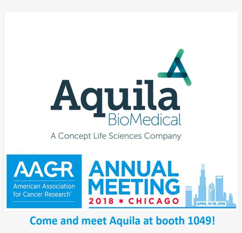 Titled “interrogation And Modulation Of The Immunosuppressive - Glasgow University Shinty Club, transparent png download