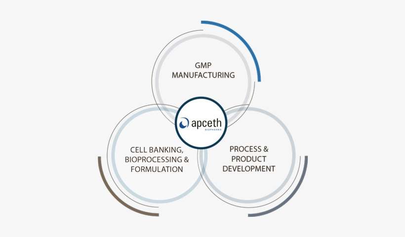 The Broad Spectrum Of Our Methods Encompasses All Aspects - Apceth, transparent png download
