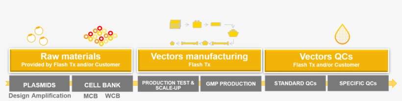 Gmp Lentiviral Manufacturing Offer - Parallel, transparent png download