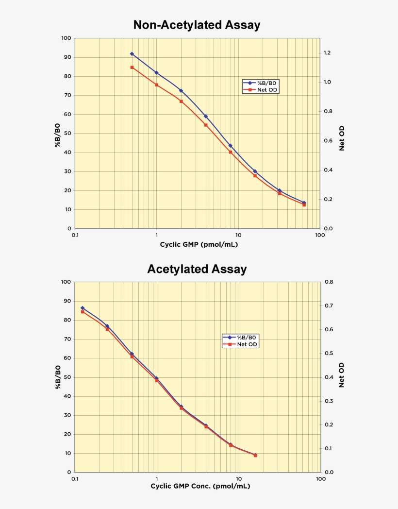 An Optional Acetylation Format Allows Super Low Concentrations - Diagram, transparent png download