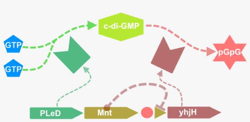 Diagram - Graphic Design, transparent png download
