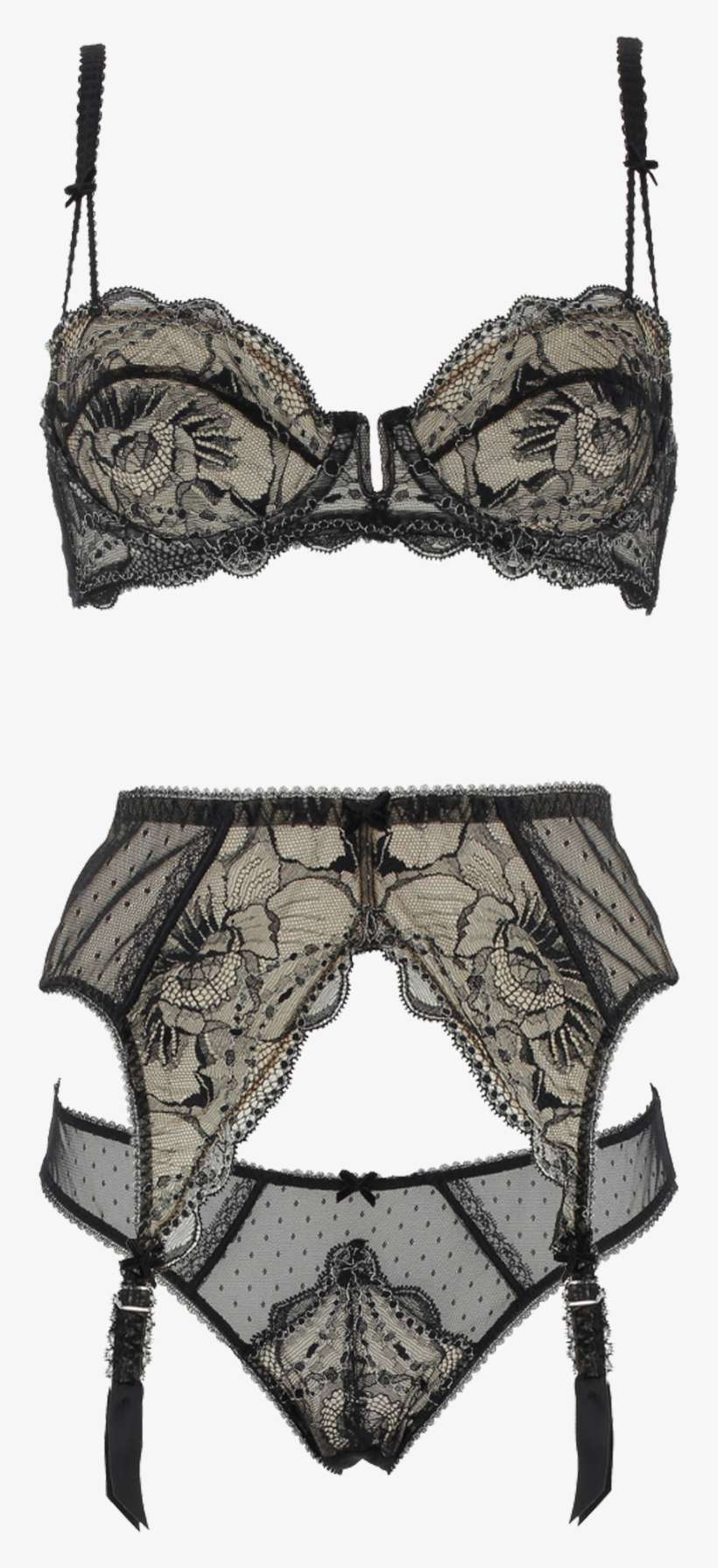 “ Countess By Dita Von Teese ” - Dita Von Teese Slip In Schwarz - 76% | Größe 40 | Damenwaesche, transparent png download