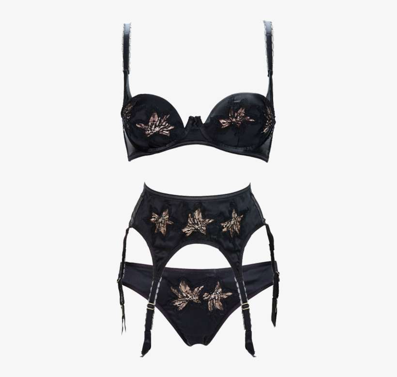 Park Avenue By Dita Von Teese - Lingerie Top, transparent png download