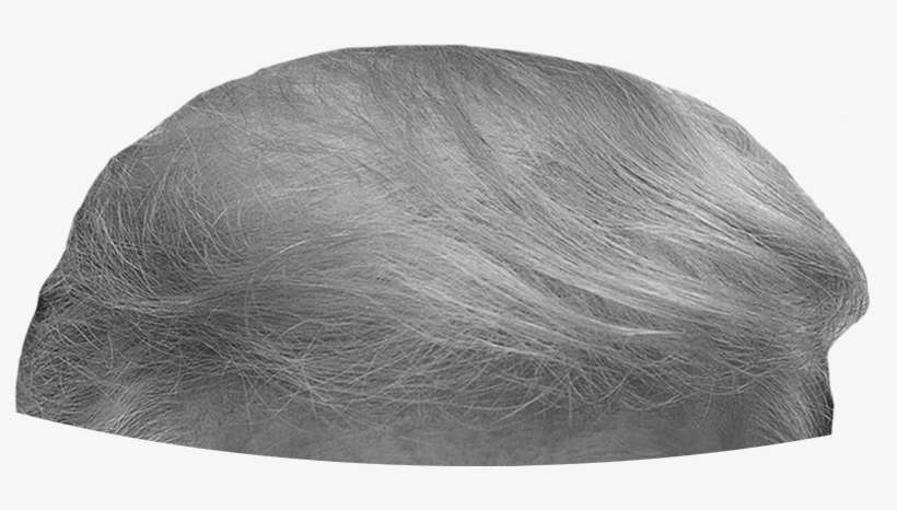 Donald Trump Wig Png - Lace Wig, transparent png download