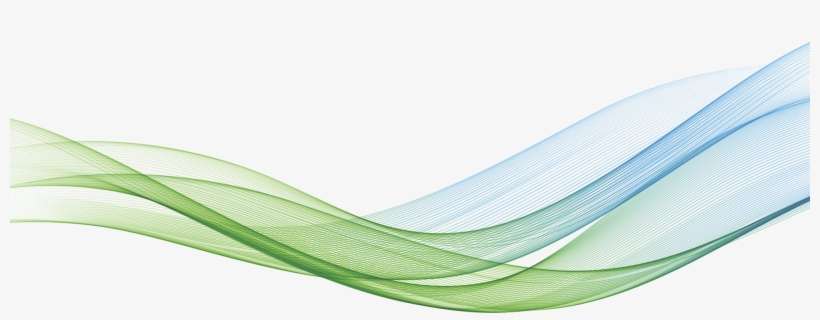 Everything - - Annual Report, transparent png download