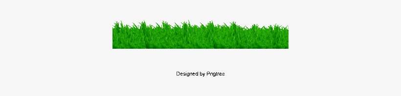 Grass, Grass, Green Grass, Green Png And Psd - Portable Network Graphics, transparent png download