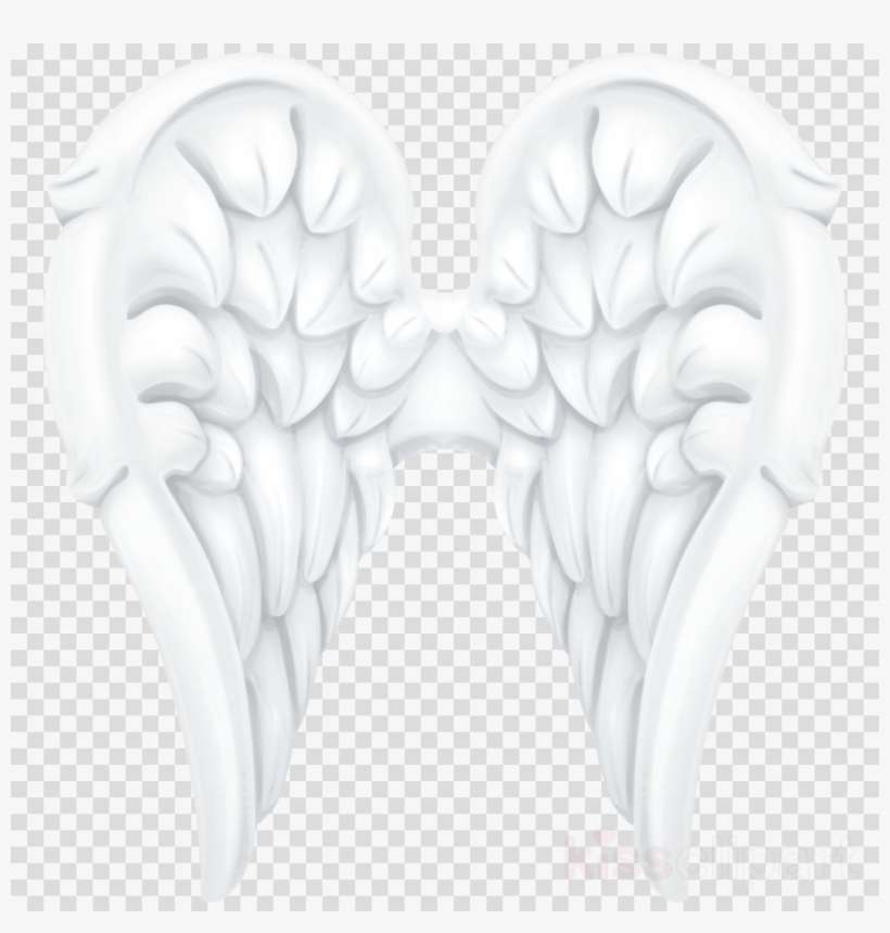Angel Wings Png Clipart Clip Art - Whatsapp Logo Png, transparent png download