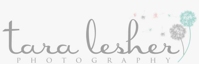 Workflow, transparent png download