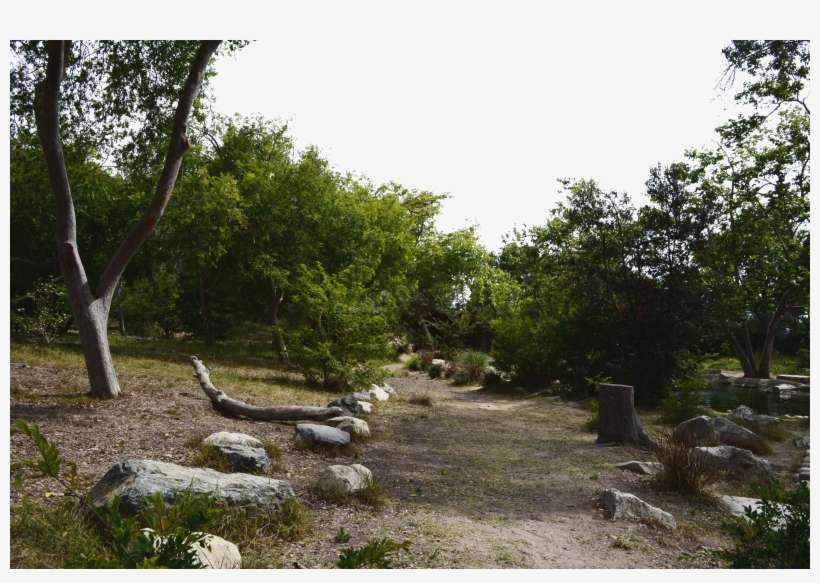 Stone Path Forest Png Background Stock 0317 By Annamae22 - Portable Network Graphics, transparent png download