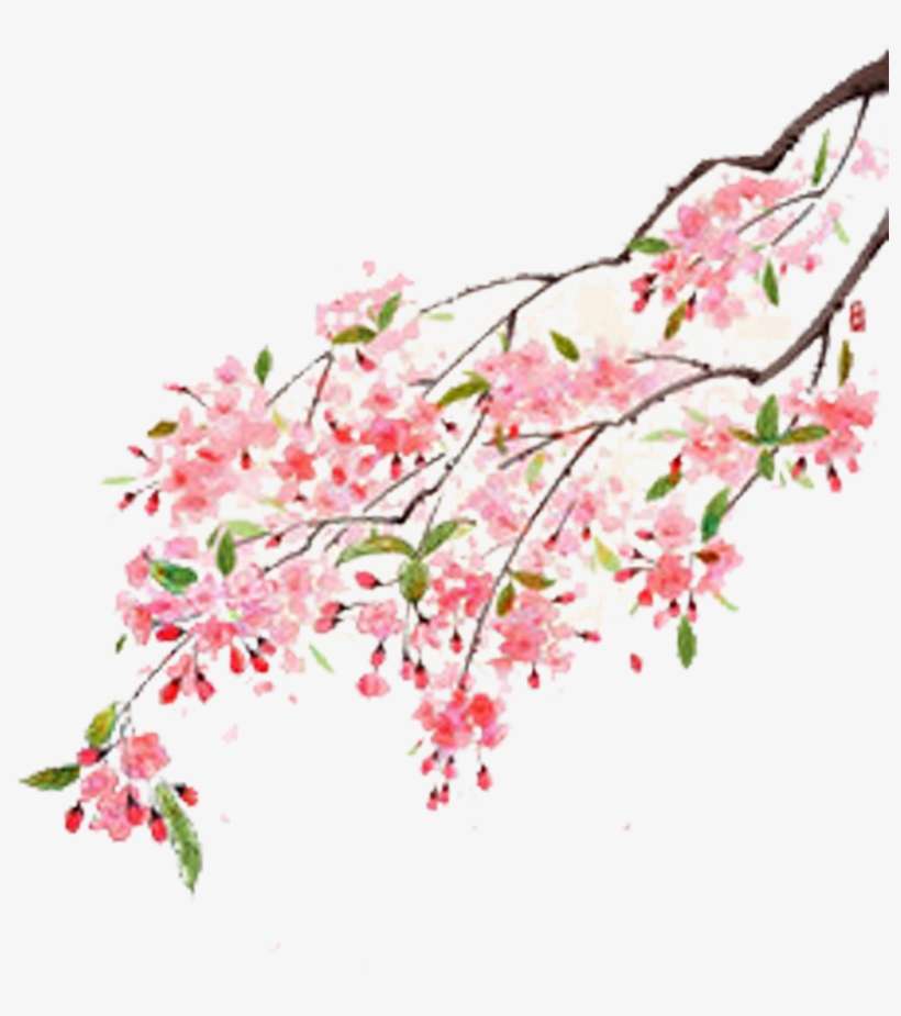 Flower Moutan Peony Illustration - Background For Painting Poster, transparent png download