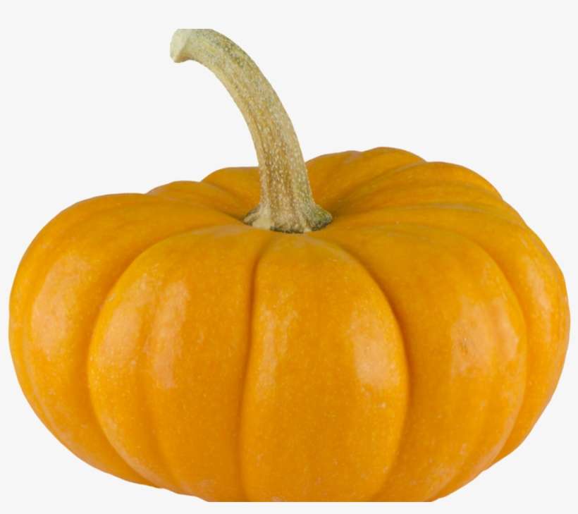Pumpkin Png Image - Transparent Background Pumpkin Png, transparent png download