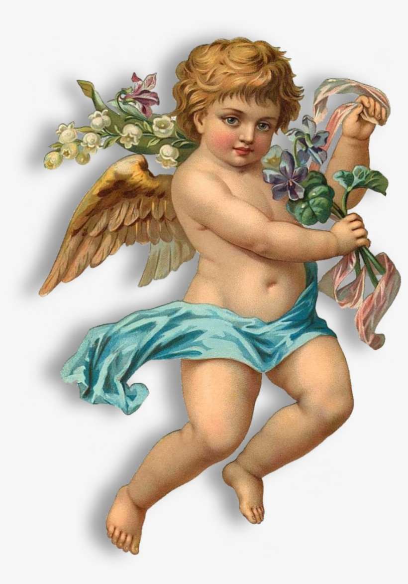 Angel Png, transparent png download