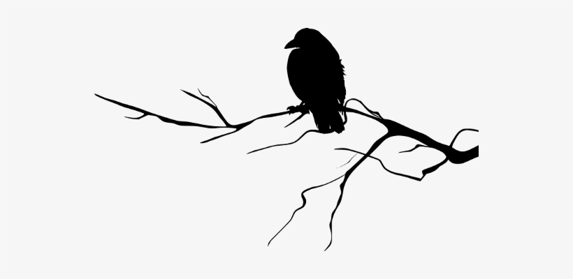Wow, This Is Really Amazing - Raven On A Branch Silhouette, transparent png download