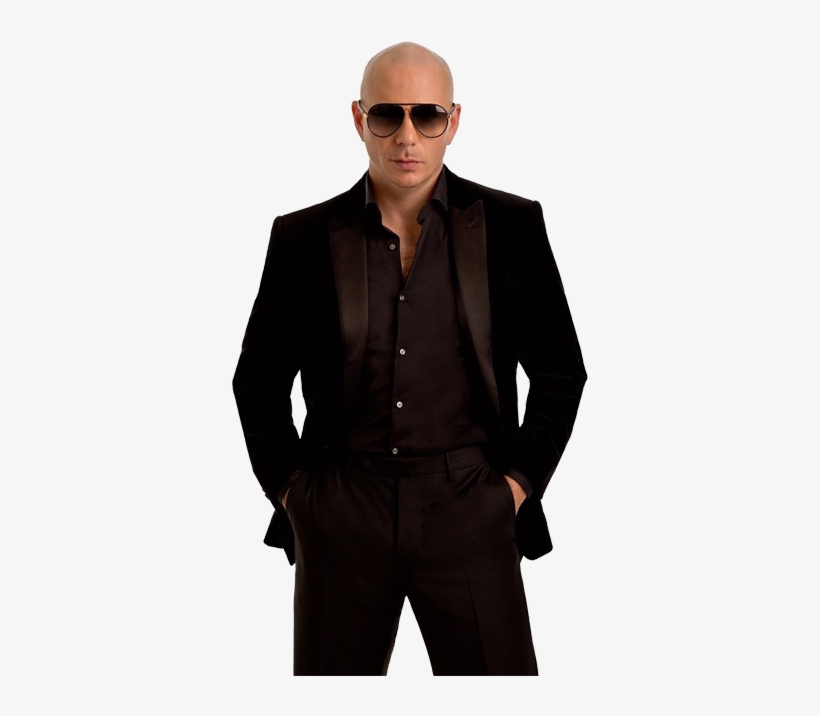 Pitbull Cutout - - Pitbull Png, transparent png download