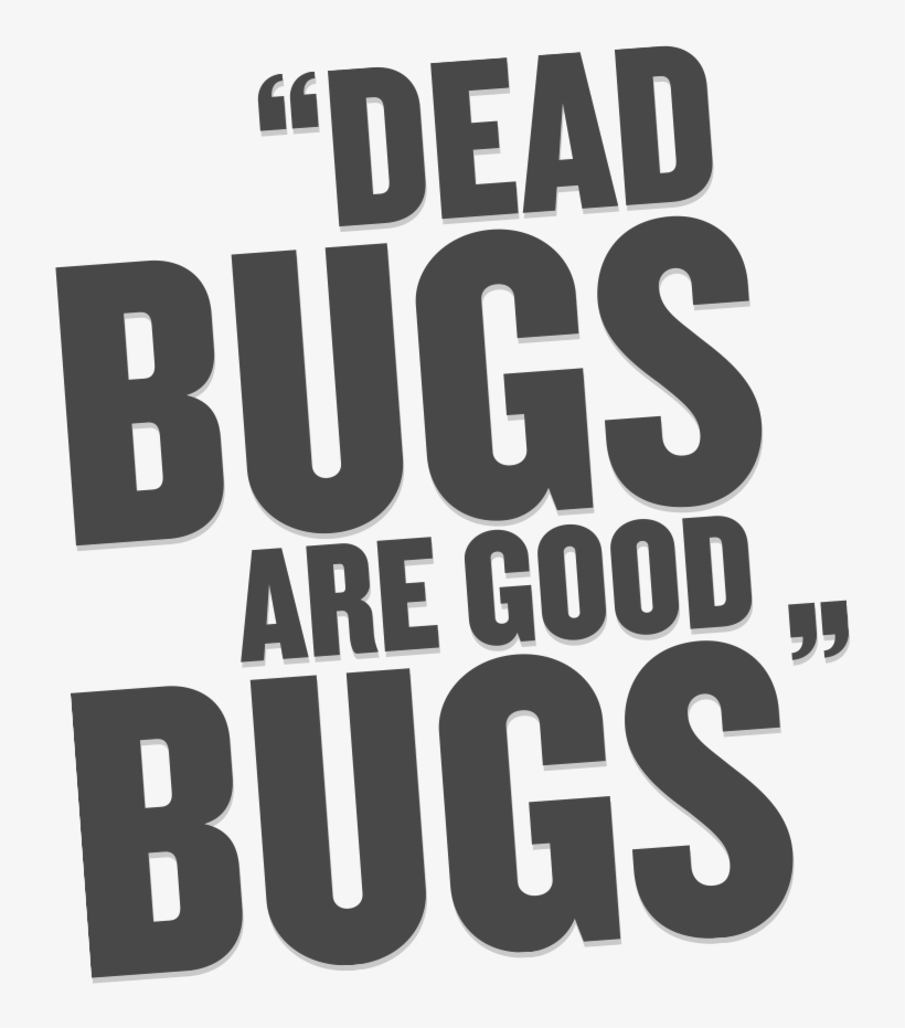 Hoes Before Bros Quotes Dead Bugs Text - Quotes Bros Before Hoes Png Image | Transparent Png Free  Download On Seekpng