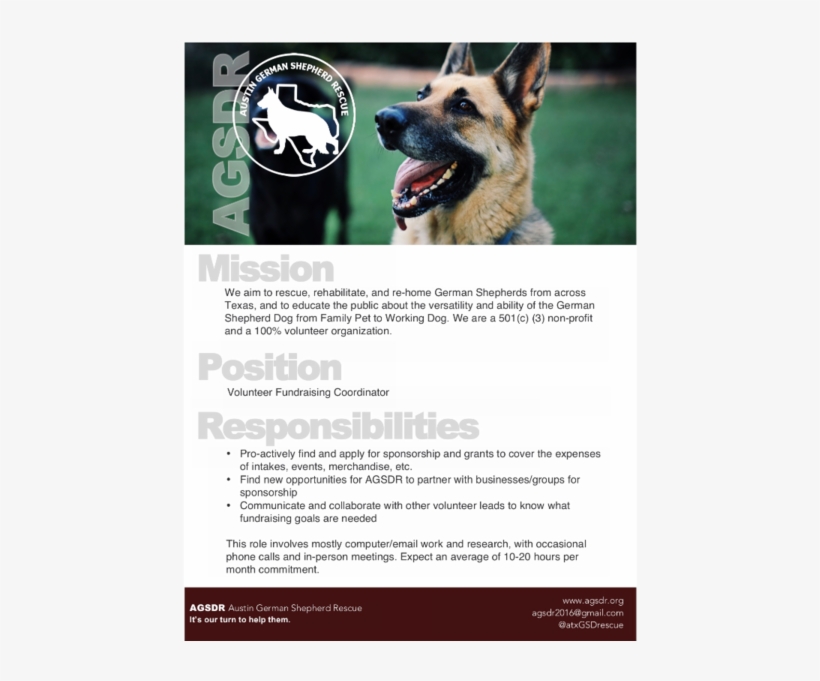 About Austin German Shepherd Rescue Fundraising Committee - Old German Shepherd Dog, transparent png download