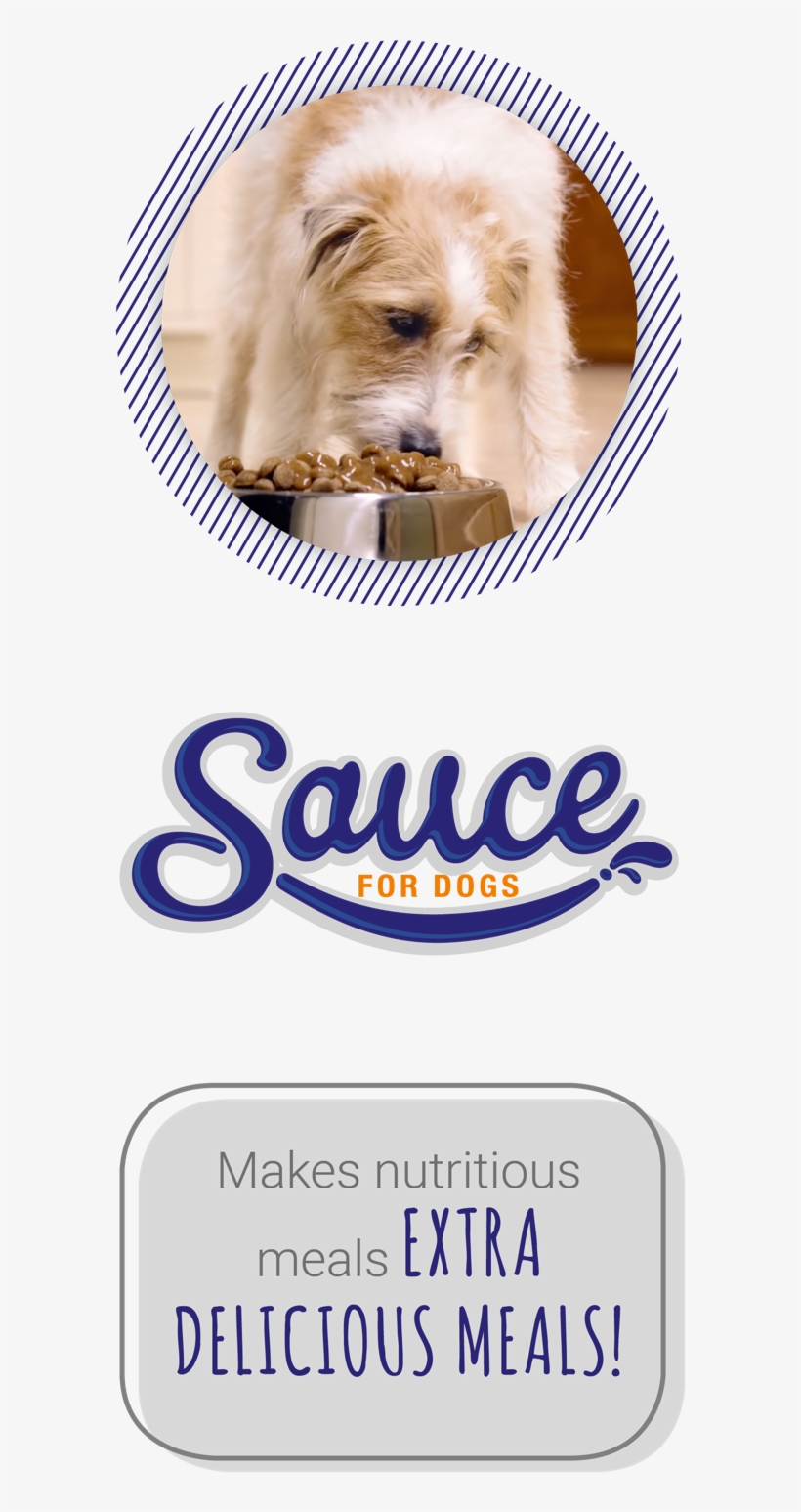 Montego Pet Nutrition - Montego - Sauce Plus Joint - 500ml, transparent png download