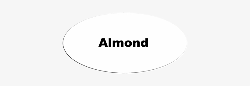 Id Magnet Oval Almond Milk - Circle, transparent png download