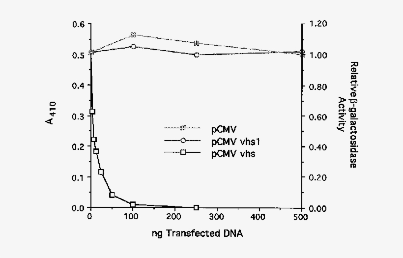 Cotransfection Assay For Vhs Activity - Diagram, transparent png download