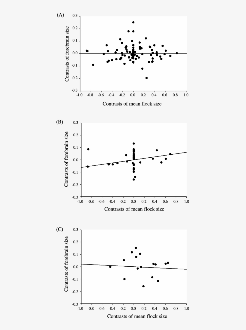 Relationship Between Forebrain Size And Mean Flock - Diagram, transparent png download