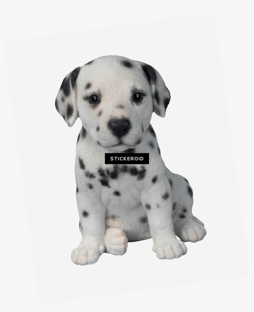Dalmatian Puppy - Dalmatian Puppy Pet Pal By Vivid Arts, transparent png download
