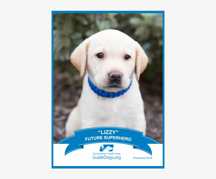 Support A Puppy - Southeastern Guide Dogs, transparent png download