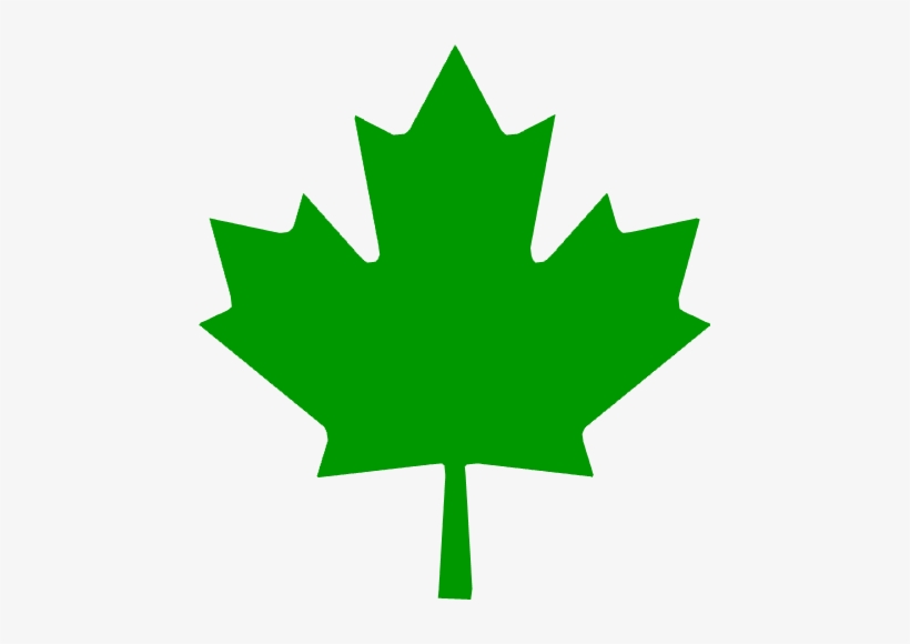 Aaevp Leaf - Escudo Bandera De Canada, transparent png download
