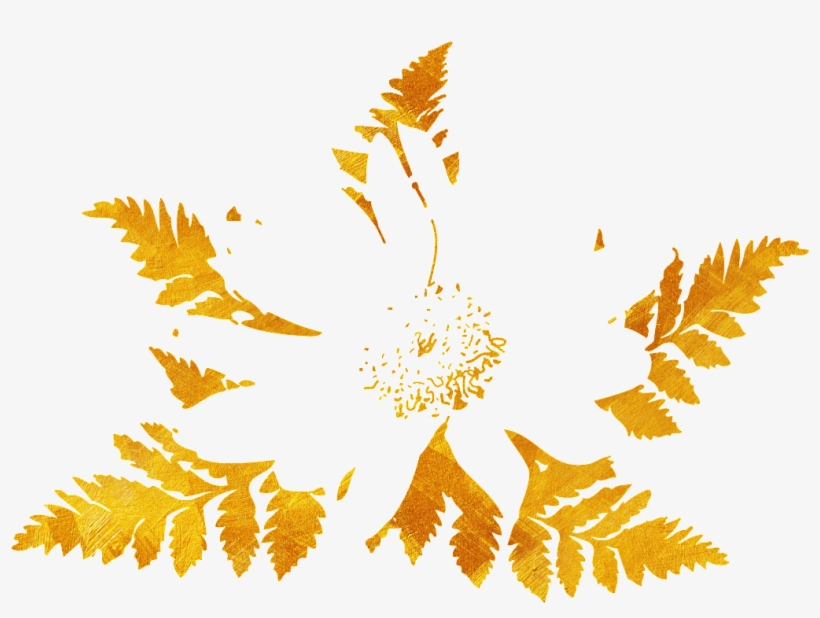 Pretty Maple Leaf Png - Patanjali Dant Kanti Junior Dantal Cream Toothpaste, transparent png download