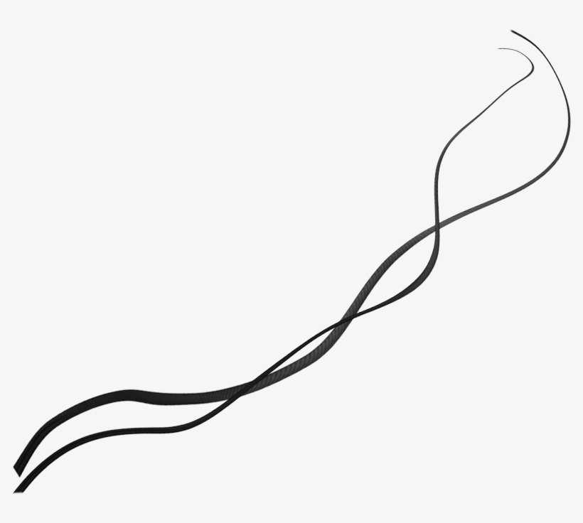 Black Ribbon By Darkrose42-stock On Clipart Library - Black Ribbon Png, transparent png download