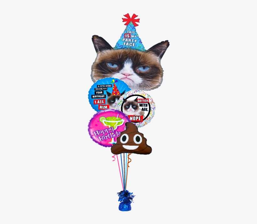 Grumpy Cat Poop Bouquet - Grumpy Cat Better With Age Balloon, transparent png download