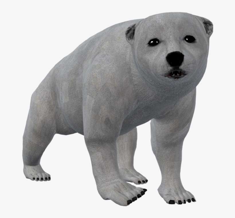 Bear Cub Png - Carnivores, transparent png download