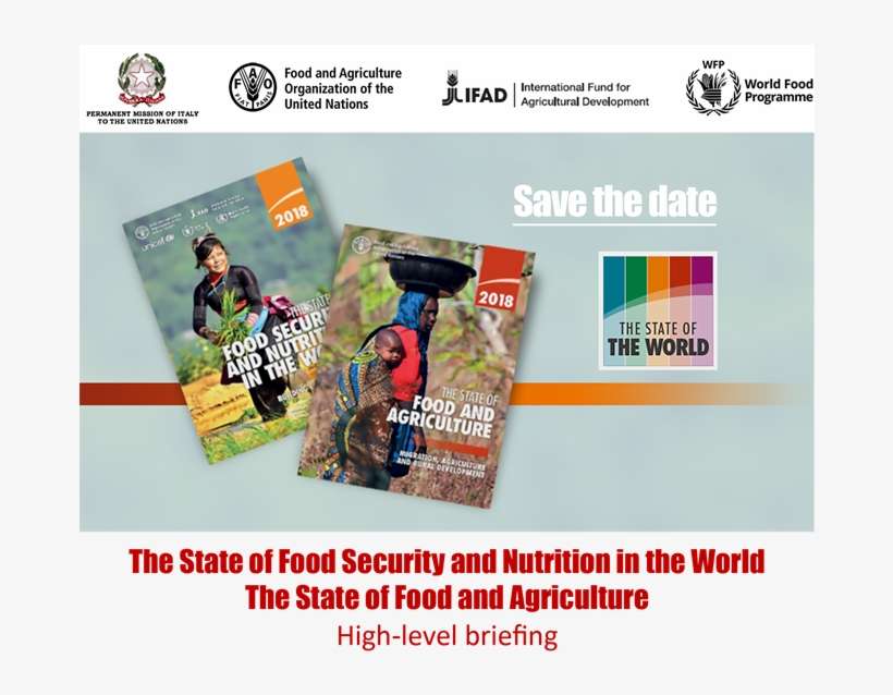 Fao - United Nations Redd Programme, transparent png download