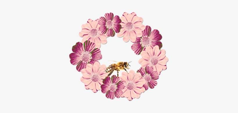 Flowers,floral Wreath,floral - ! Greeting Cards, transparent png download