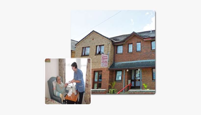 Cherry Blossom - Cherry Tree Care Home Isle Of Wight, transparent png download