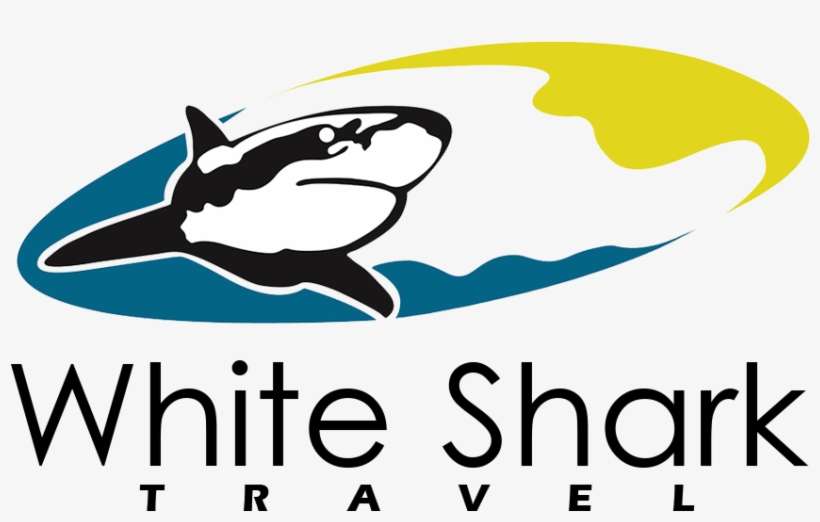 White Shark Travel - White Shark, transparent png download