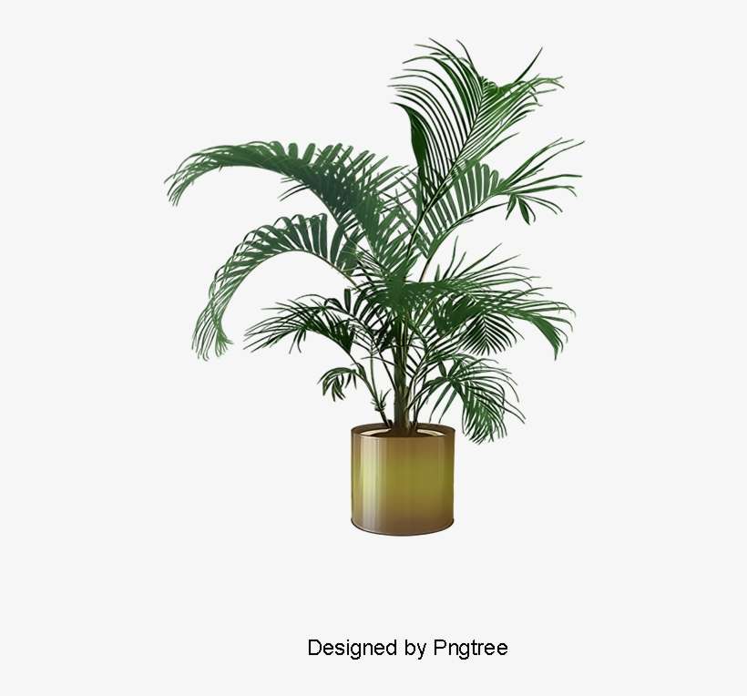 Indoor Plant Potted Plants, Plant Clipart, Plants Clipart, - Cornstalk Dracaena, transparent png download