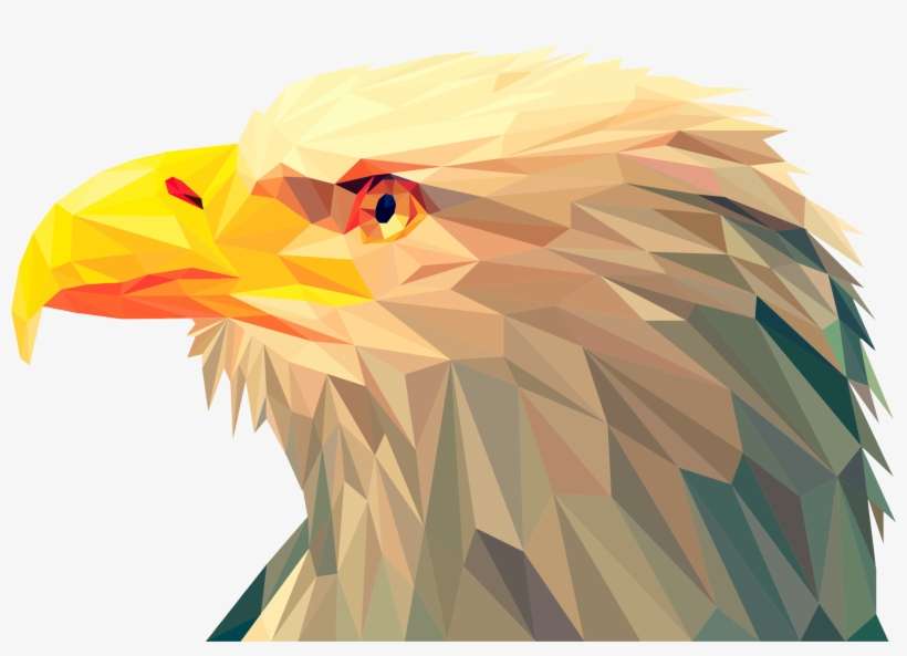 Big Image - Low Poly Eagle, transparent png download