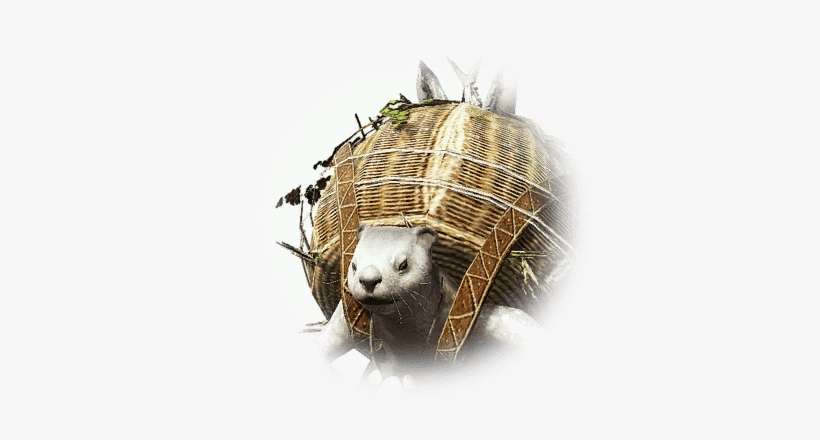 Otter Fisher - Black Desert Otter, transparent png download