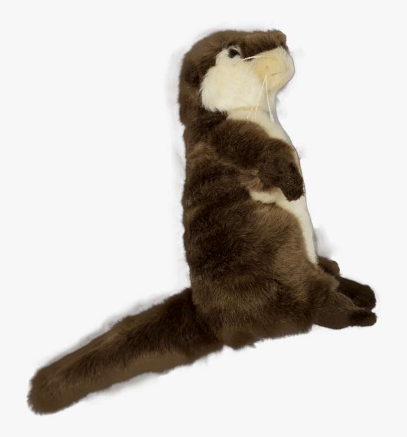 1 - Cat Jumps, transparent png download